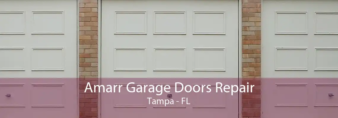 Amarr Garage Doors Repair Tampa - FL