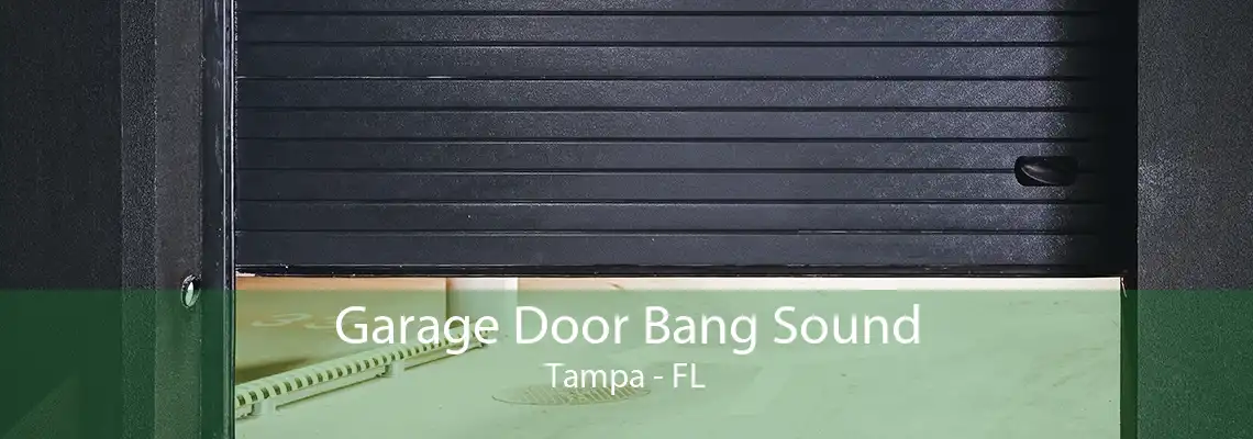 Garage Door Bang Sound Tampa - FL