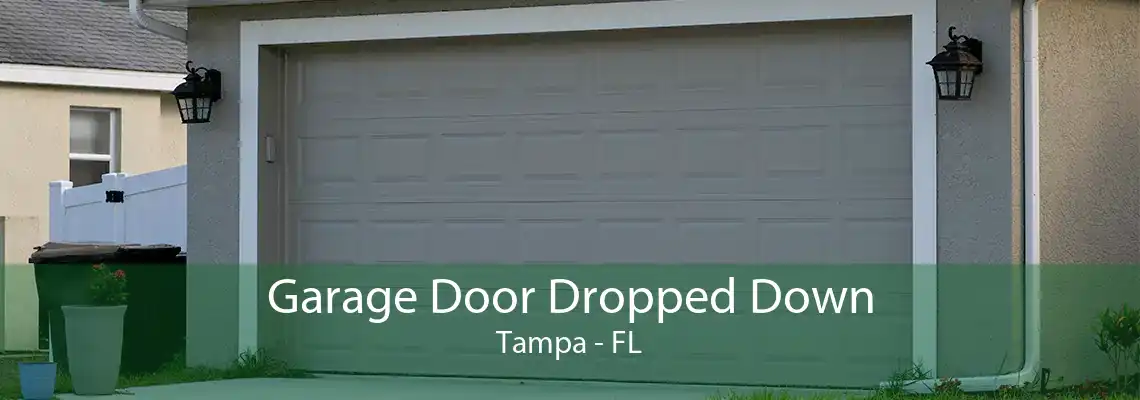 Garage Door Dropped Down Tampa - FL