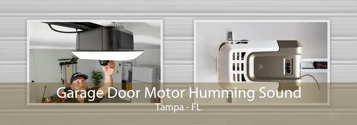 Garage Door Motor Humming Sound Tampa - FL