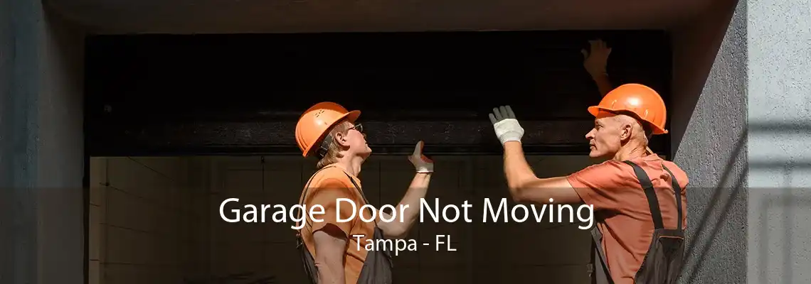 Garage Door Not Moving Tampa - FL