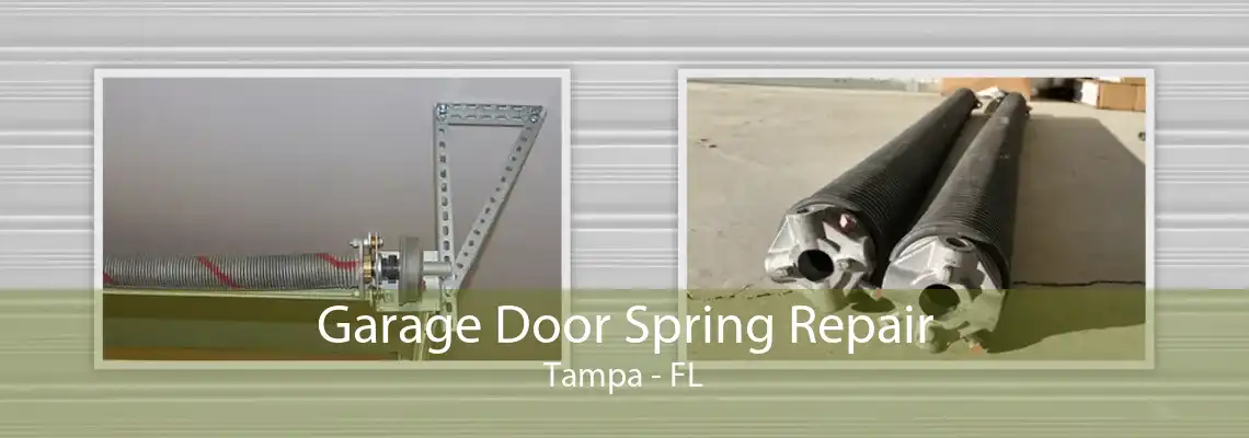 Garage Door Spring Repair Tampa - FL