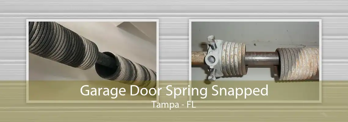 Garage Door Spring Snapped Tampa - FL