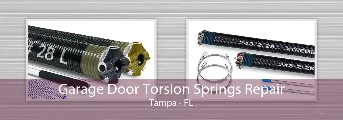 Garage Door Torsion Springs Repair Tampa - FL