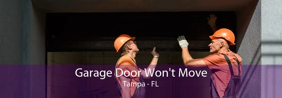 Garage Door Won't Move Tampa - FL