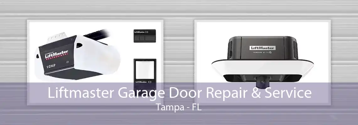 Liftmaster Garage Door Repair & Service Tampa - FL